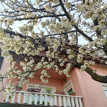 Apartman Nada Крапина Экстерьер фото