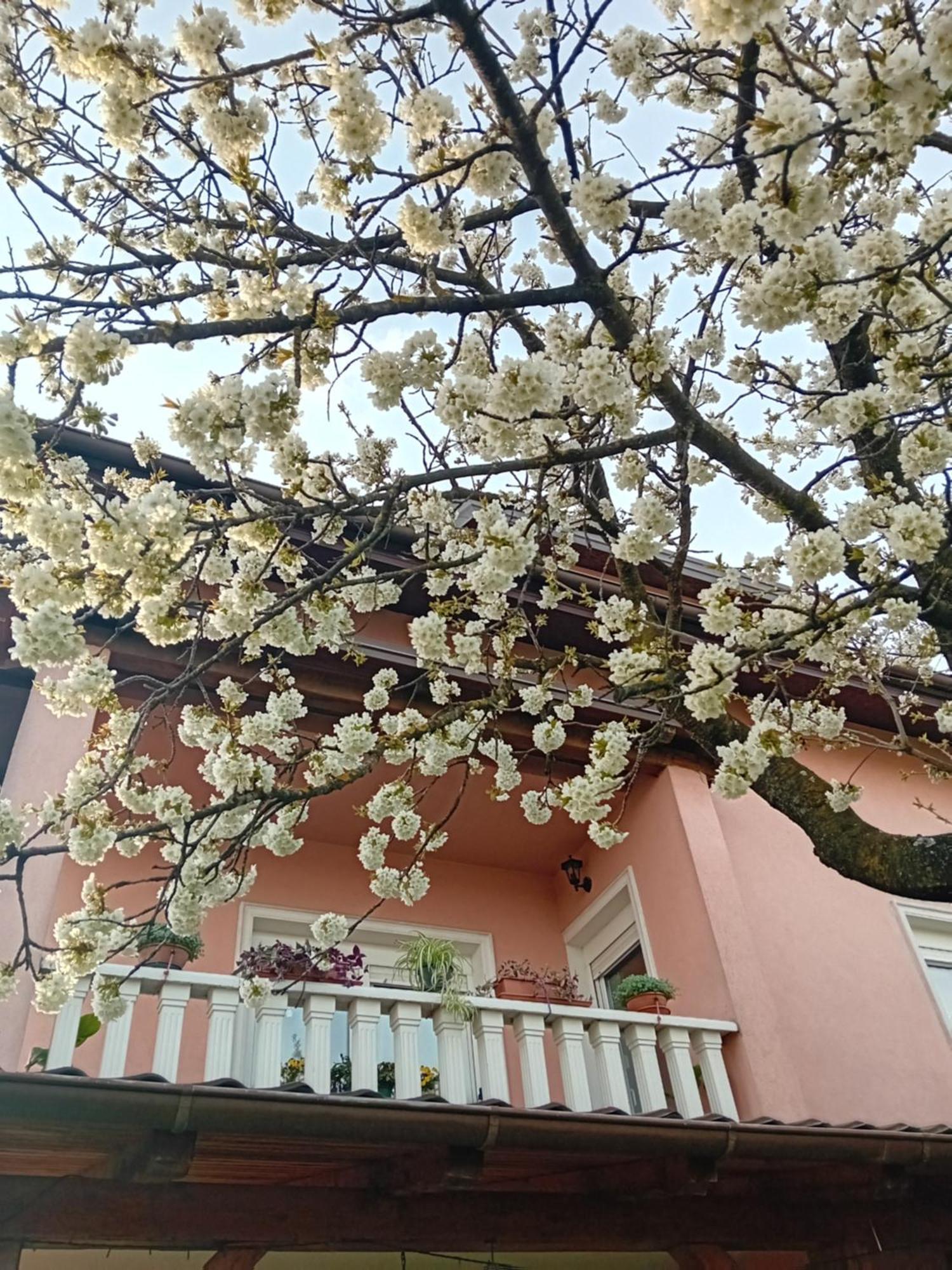 Apartman Nada Крапина Экстерьер фото